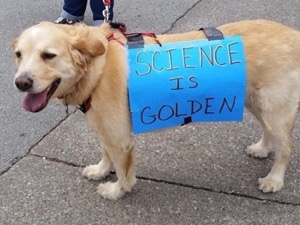 Science March dog