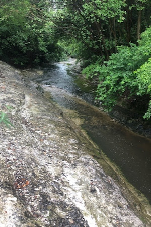 Ash Creek before the destruction. Photo by Kristi Kerr Leonard.