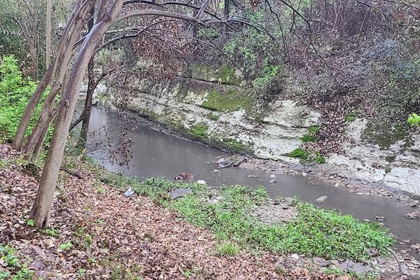 Ash Creek runs dark grey with mud washed from the denuded bank. Photo by Kristi Kerr Leonard.