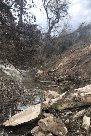 Debris from the backhoe rampage was left in the creek, covering vital seeps. Photo by Kristi Kerr Leonard.