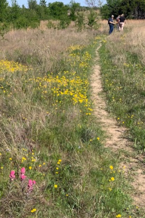 Benbrook Lake ESA trail. Photo by Kim Conrow.