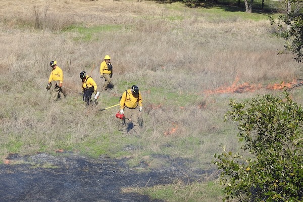 Staff igniting bigger areas. Photo by Michael Smith.