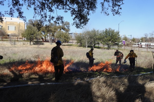 Burn staff starting the back burn. Photo by Michael Smith.