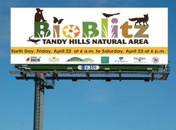 Tandy Hills is hosting a BioBlitz