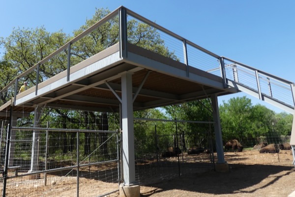 Seen from below, the upper platform looks out onto bison pastures. Photo by Michael Smith.