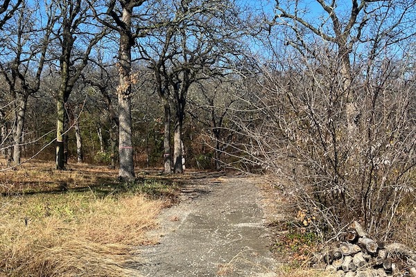 A group in Colleyville is working to save a wooded area. Photo by Mark Fadden.