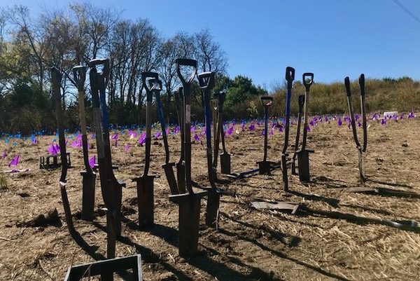 Flags and shovels mark new plantings at LLELA. Photo by Amy Martin.