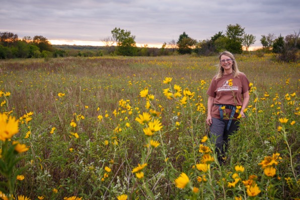 Amy Martin amid Maximilian sunflowers at Parkhill Prairie in Collin County. Photo by Stalin SM. 