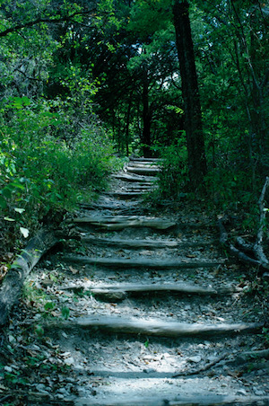 Mulberry Trail is one of Cedar Ridge Preserve’s quieter trails. Photo by Michael Puttonen/Wild DFW.