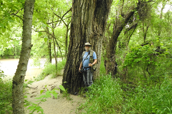 Clay Thurmond demonstrates how trees grow huge in the deep woods along Clear Creek. Photo by Diane Weatherbee/Wild DFW. 