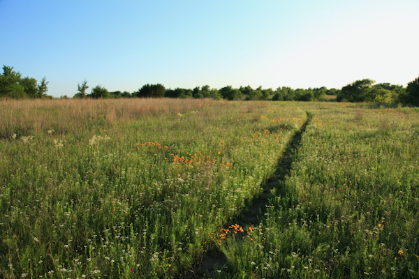 It’s easy to disappear into pioneer days on the Sid Richardson tract. Photo by Chris Emory/Wild DFW.