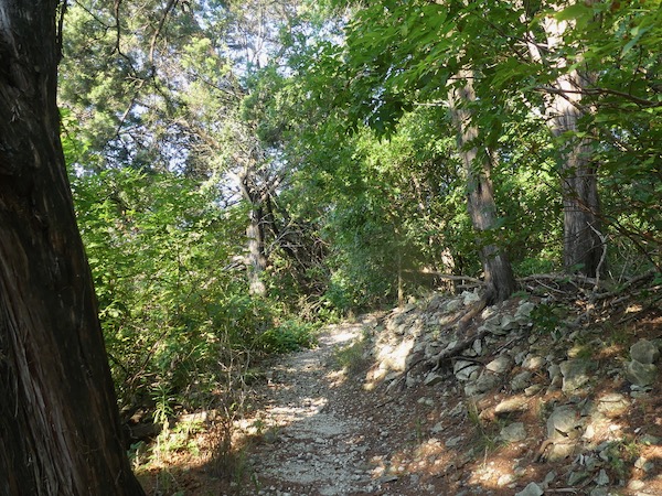 Dogwood Canyon Audubon Center's rocky landscape