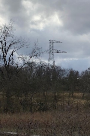 Eagle tower at John Bunker Sands Wetland Center. Photo by Julie Thibodeaux.