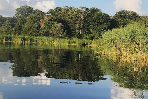 Fairfield Lake State Park is located on a 2,200-acre lake. Photo courtesy of TPWD.