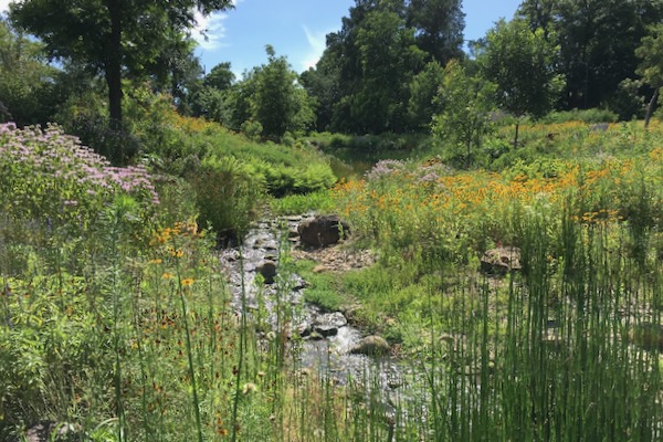 Rock Springs Creek at the Fort Worth Botanic Garden. Photo by Julie Thibodeaux.