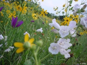 Fort Worth Prairie Park