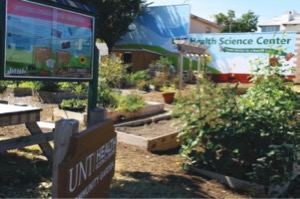 UNTHSC Community Garden