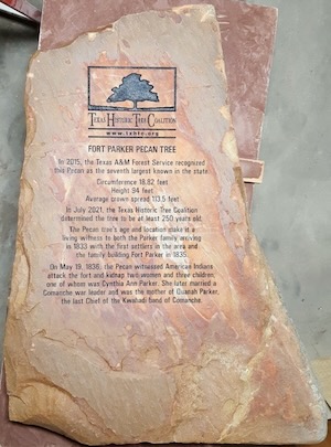 Fort Parker Pecan Tree Plaque. Courtesy of Texas Historic Tree Coalition.
