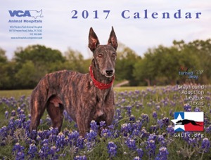 Greyhound Adoption League of Texas 2017 Calendar