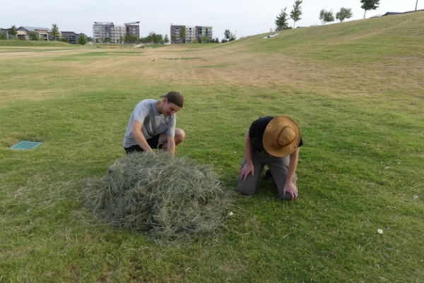 Brand Richter and Jaime Baxter-Slye preparing a trap. Photo by Michael Smith.