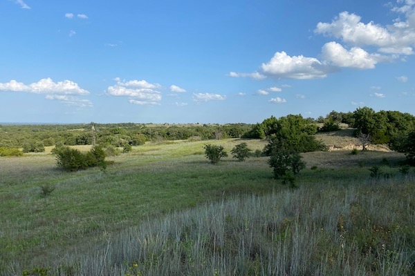 LBJ National Grasslands. Photo by Michael Smith.