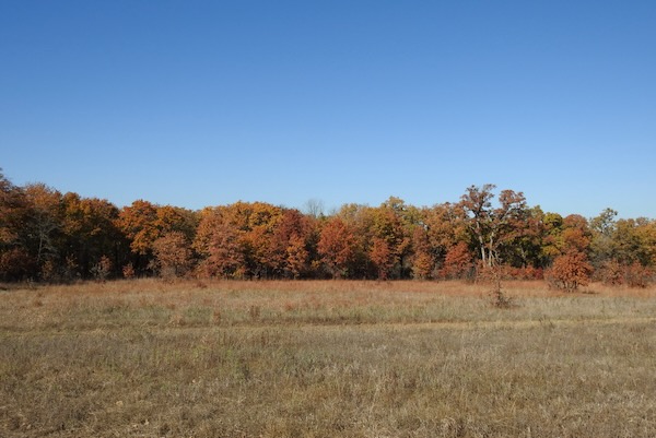 A prairie and woodland in Unit 29 in autumn colors. Photo by Michael Smith.
