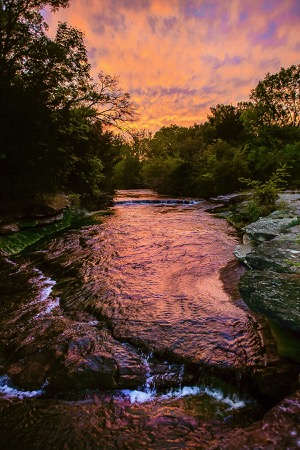 Ladd natural area creek. Photo by Mark Graham.