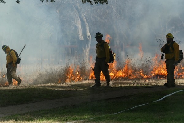 Firefighters closely monitor the fire line at Botanical Research Institute in January 2021. Photo by Michael Smith.