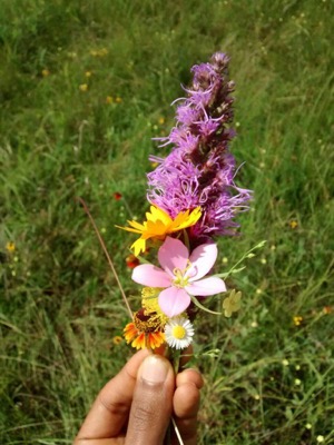 Clymer Meadow spire