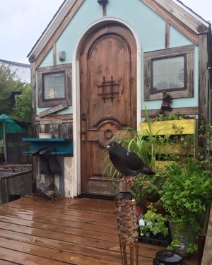 Peeves on the McNeny front porch