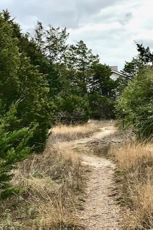 Oak Cliff Nature Preserve Path