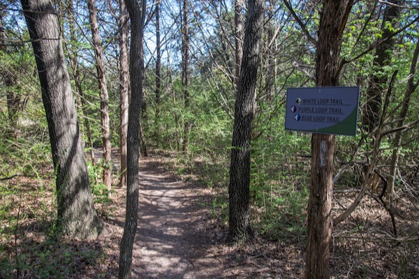 Oak Cliff Nature Preserve