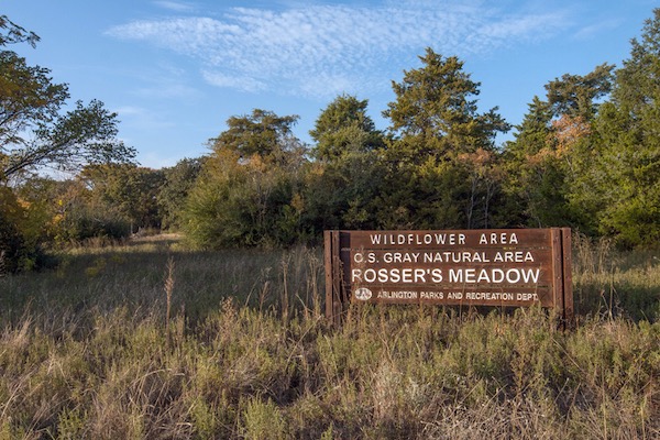 O.S.Gray Natural Area - Rosser's Meadow