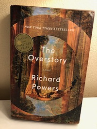 The Overstory