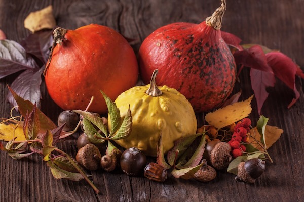 Natural items make festive seasonal table settings. Courtesy of Storyblocks.