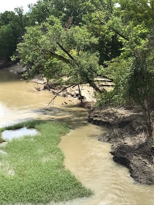 Sulfur River in Northeast Texas