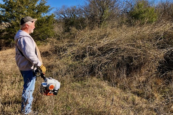 Freiheit admires a pile of cut Chinese privet to be burned. Photo by Amy Martin. 