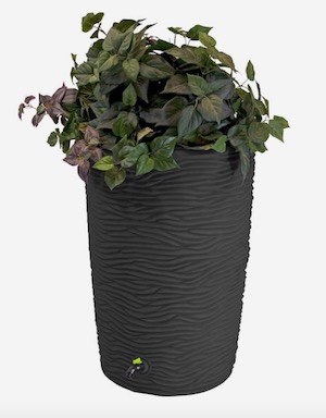 Eco Palm 50 Gallon Rain Saver from Lowes