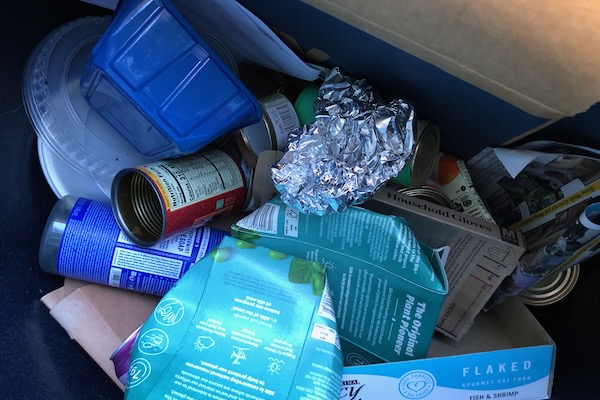 Items in recycling bin. Photo by Julie Thibodeaux.