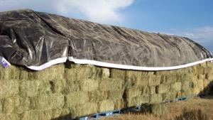 Old billboards from Repurposed Materials are used as tarps