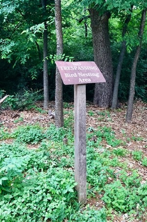 Signage helps educate visitors and keep the rookery undisturbed. Photos by Amy Martin. 