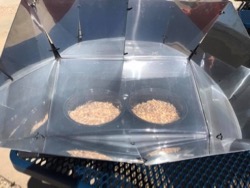 Solar oven cobbler