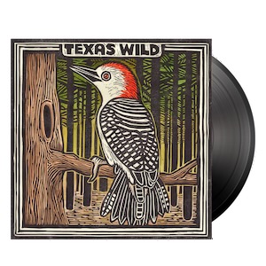 Texas Wild cover. Illustration by Mishka Westell.