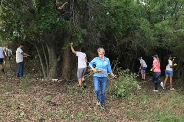 Friends of Tandy Hills volunteers cut down privet during a brush bash. Photo by Don Young.