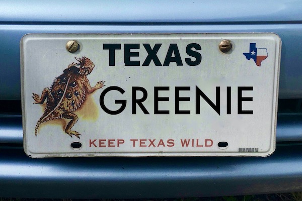 Texas Conservation Plate