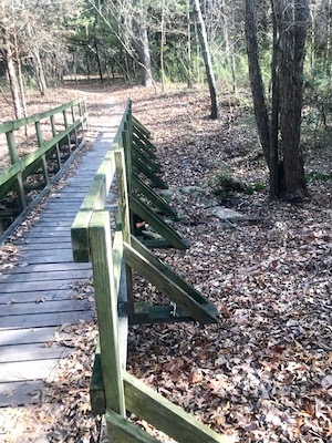 Bridge made by Boy Scouts at Windmill Hill Preserve