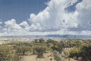 Two Ocotillos by Dennis Blagg