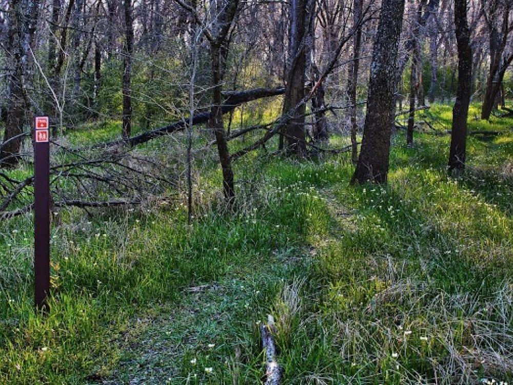 Buckeye Trail named for local environmental trailblazers | GreenSource DFW