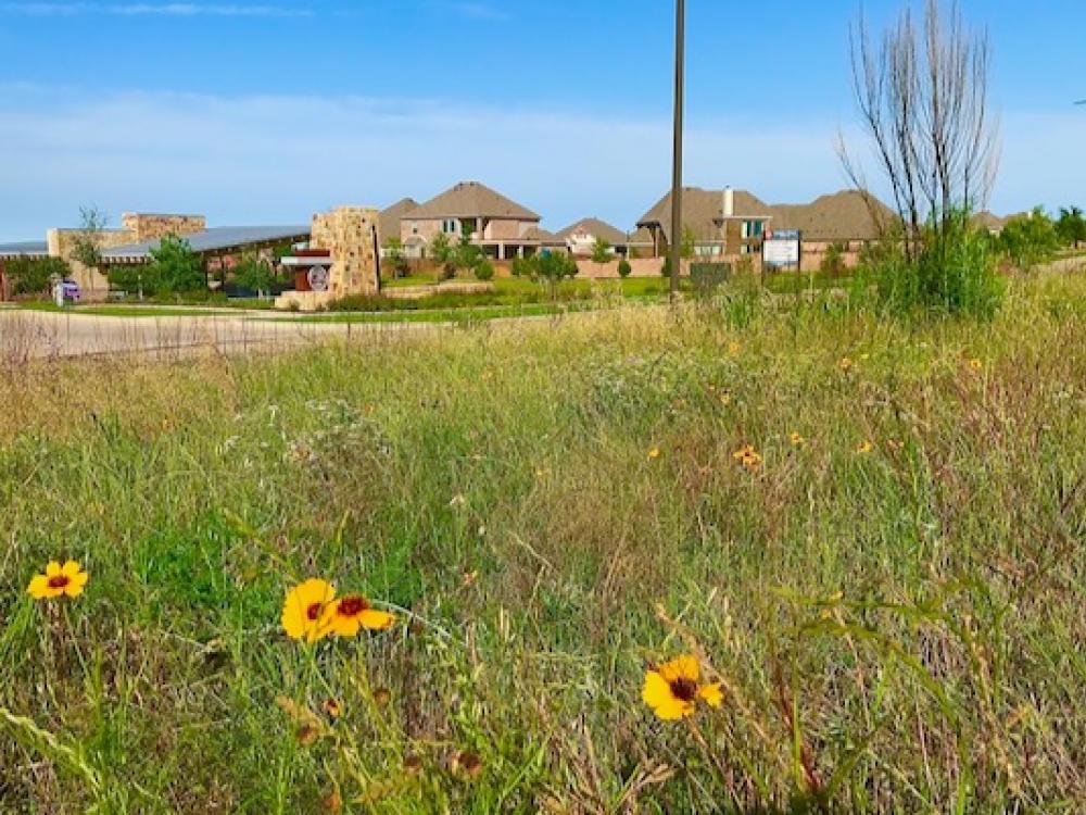 Fort Worth moves forward with big plans for former public housing project