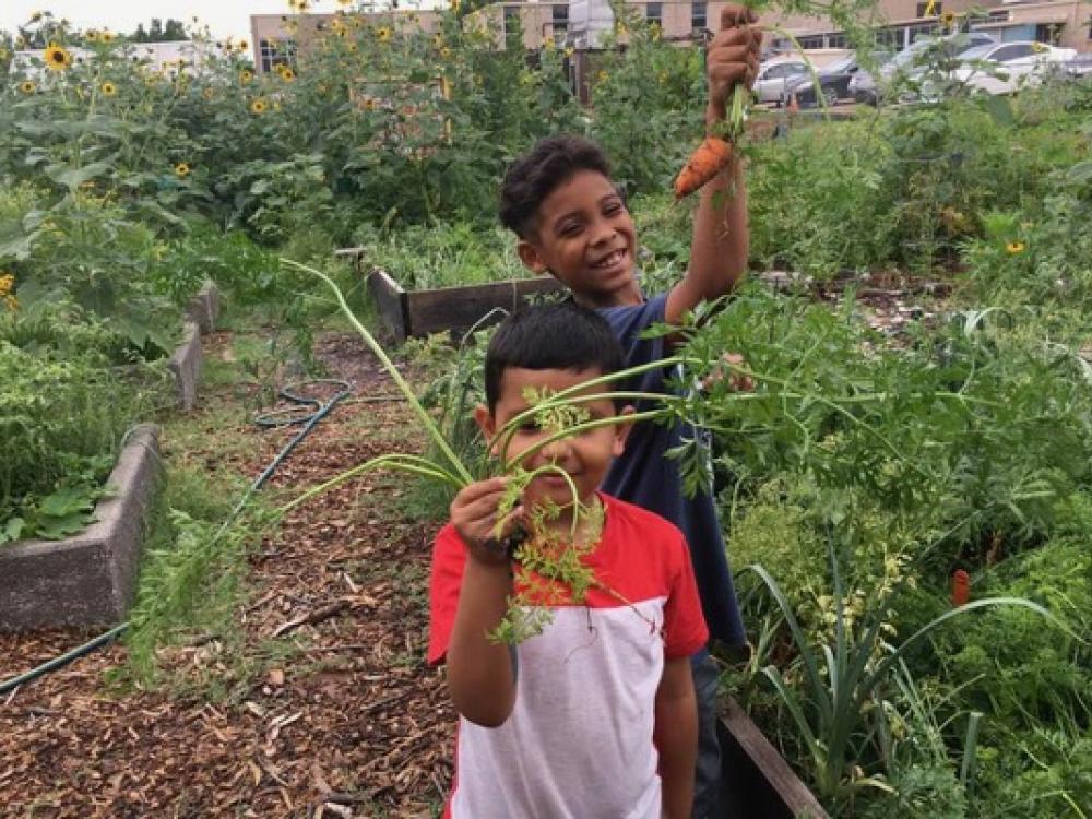 Dallas community gardens fulfill 'promise' made decade ago ...